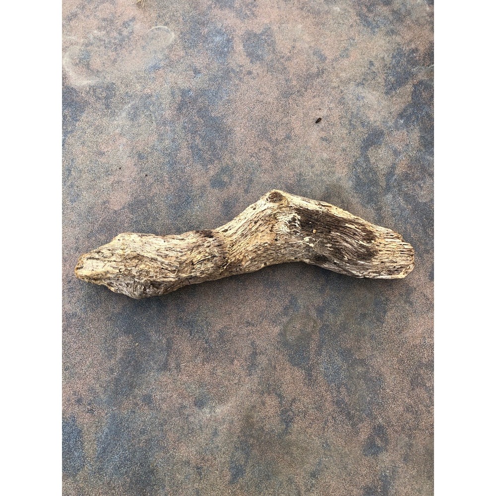 Natural‎ Driftwood for Plants Terrarium Taxidermy Art Projects